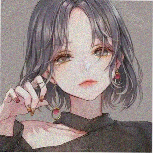 读者胶片味的头像